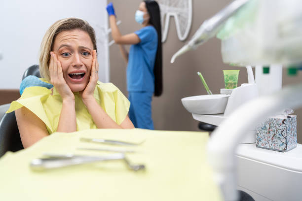 Best Emergency Dentist for Knocked-Out Tooth in Wheat Ridge, CO